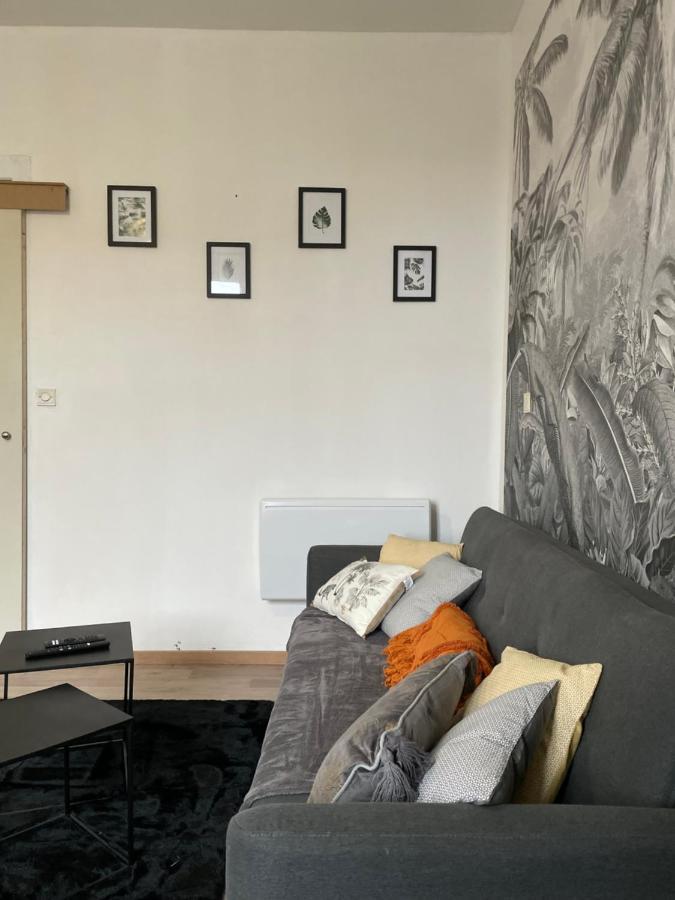 Logement Cosy Avec Stationnement Gratuit Troyes Eksteriør billede